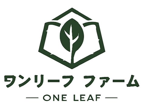 株式会社ワンリーフ